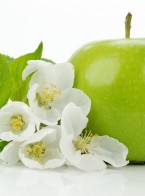 hinh nen qua tao, hinh nen may tinh, anh nen apple