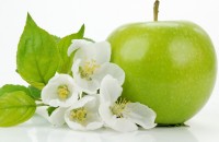 hinh nen qua tao, hinh nen may tinh, anh nen apple