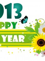 hinh nen tet, nam moi 2013 dep, hinh nen Happy new year 2013