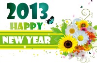 hinh nen tet, nam moi 2013 dep, hinh nen Happy new year 2013