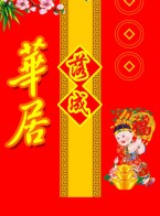 hinh nen nam moi 2013, hinh nen dien thoai dep