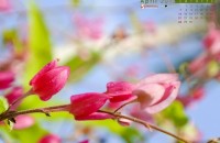 hinh nen may tinh thang 4