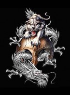 hinh nen dep ho bao