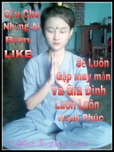 hinh nen dep cau like facebook